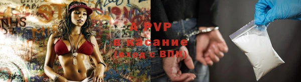 шишки Алексин