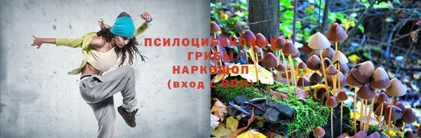 шишки Алексин
